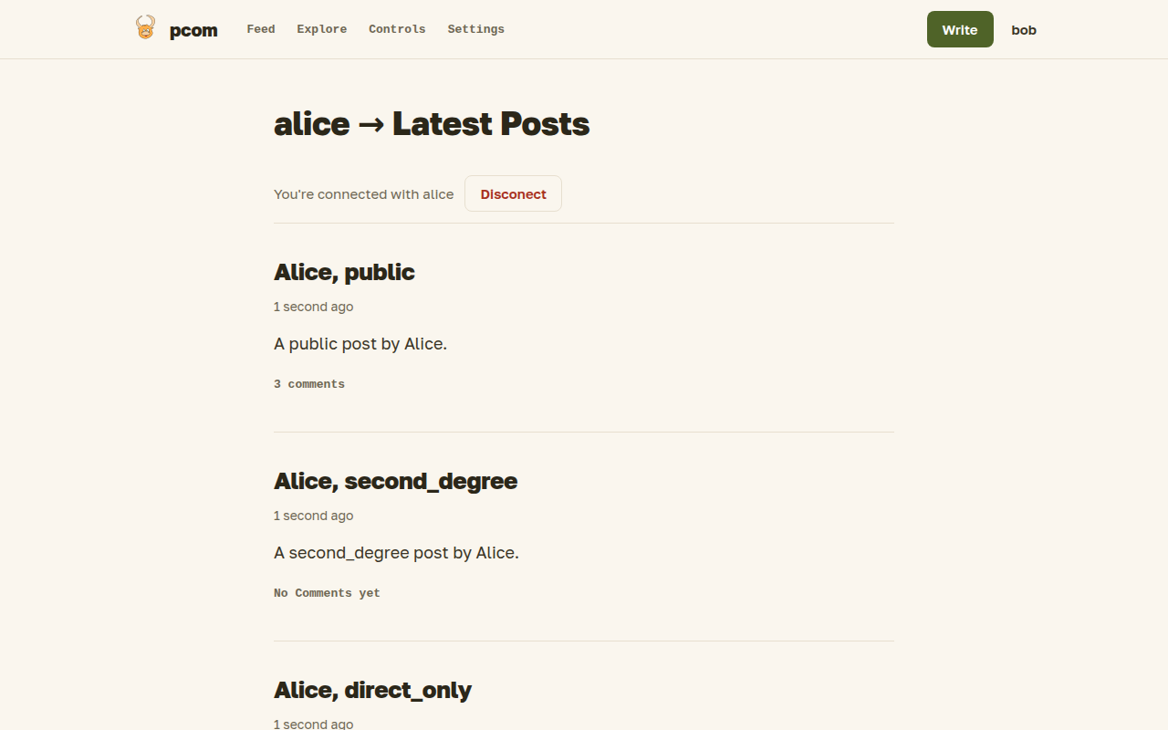 A journal: the posts of one user, as a connection sees them.